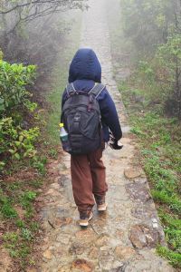 Rabbit Tinum YHA昂坪戴維斯青年旅舍(大嶼山)優惠