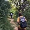 Avatar 3