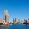 陳慧林