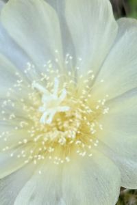 訪客用戶 豪城商旅民生館優惠