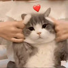KS*