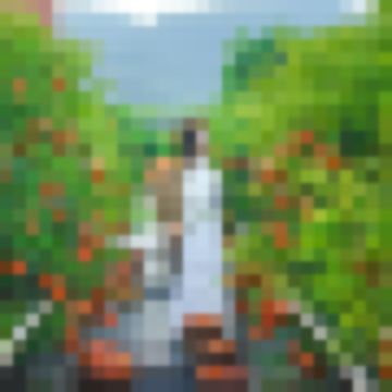 Review as you like : รีวิวตามใจเรา