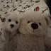 The Travelling Teddies