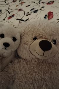 The Travelling Teddies