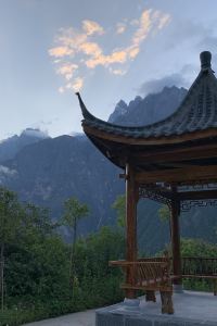 Lovin trip 보성녹차리조트 쿠폰