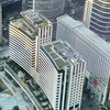 櫻花樹