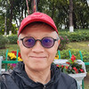 湯告老枝