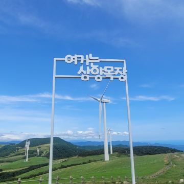 돌콩12