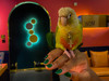 World travel-eve