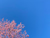 L09
