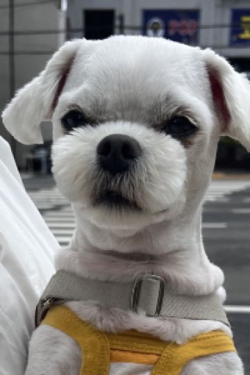 Sukkk My K House クーポン