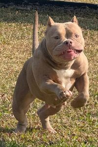 Caryliu X2 芭堤雅海洋宮優惠