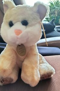 Franky SH Wong 蔓菲公寓（佛山祖廟店）優惠