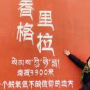 想飛的Shirley