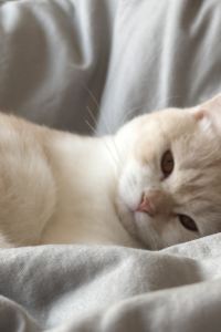 vvcn__ 奈良美樂飯店優惠