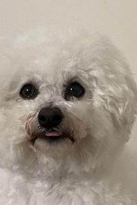 luuuc ホテル道後やや クーポン