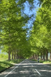 NOBU327 古宇利島ロテルズ クーポン