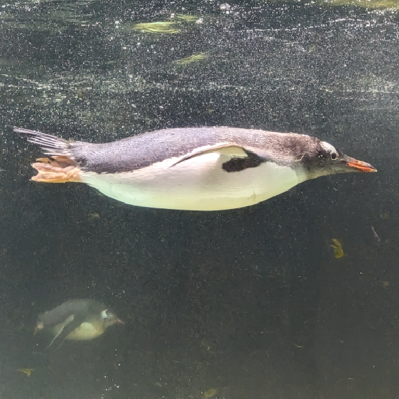 人生六十才開始