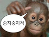 숭발놈
