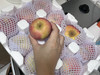 Apple_great