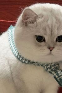 訪客 中山愛百得藝術酒店優惠