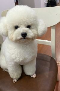 뿌순이 芭達雅發現海灘飯店優惠