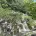 全州韓屋村