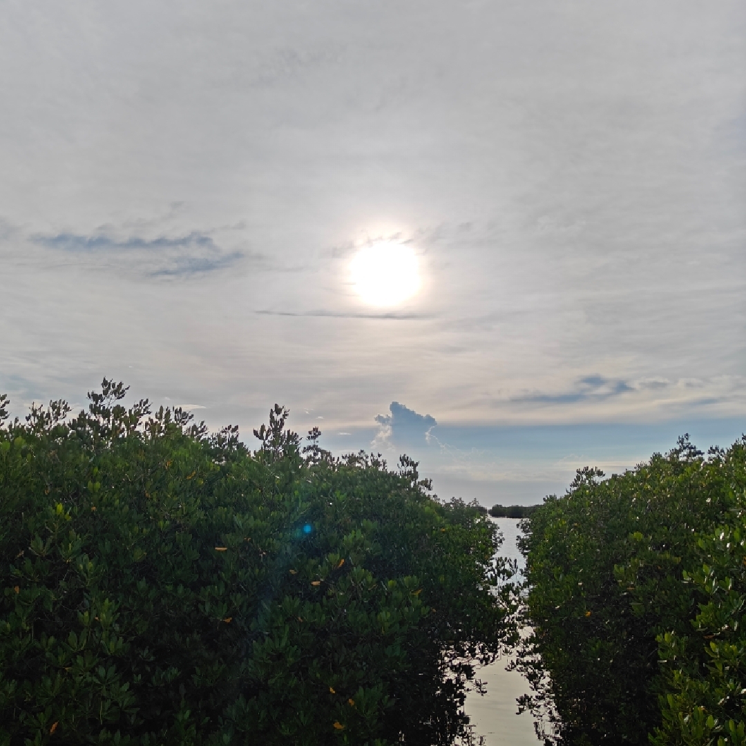 Panglao Travel Guide 2024 Things to Do, What To Eat & Tips