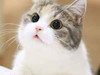 Mochomochi