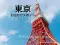 shin_single_trip