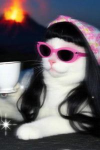 evepmm 裡治精品旅館優惠