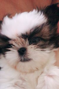 럭키아빠 喬治五世巴黎四季飯店優惠