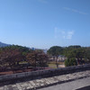 travel forever