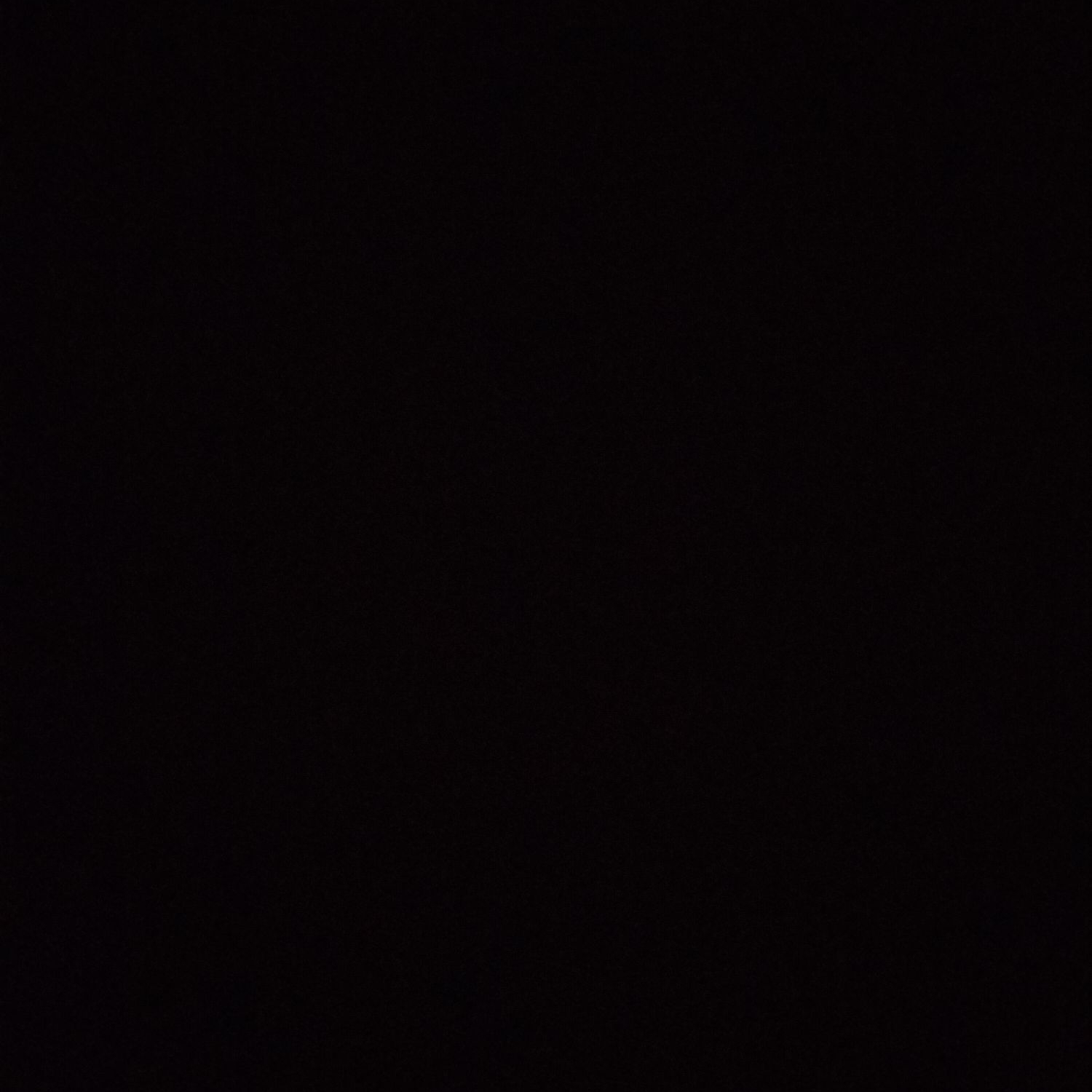 朝霧きょう