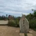 트리비아
