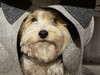 Egor_Ka