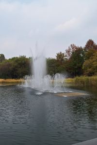 Buki_choki_bibi_rich 關西機場第一飯店優惠