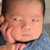 小薯茄