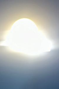 C.Candy 桃園薇緹花園飯店優惠