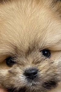 ジャスミンちゃん JR西日本グループ ヴィアイン心斎橋四ツ橋 クーポン