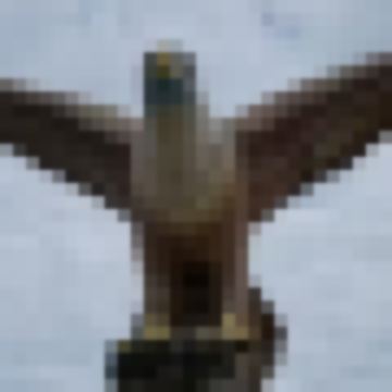 Eagleman O