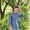 MD Ruhul amin nabil