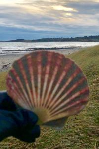 TheVoyager 約克郡皇冠假日酒店優惠