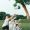 Family travel diary
