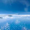 Avatar 3