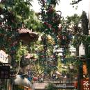 Jajabonks