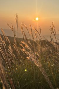 小川直輝 上野ステーションホステル オリエンタル１ クーポン
