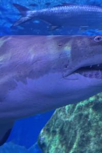 Joshua Hartley 北多倫多派克威貝斯特韋斯特飯店優惠