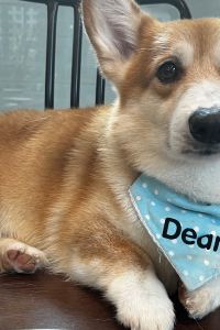 JJEL 曼谷素坤逸馨樂庭8飯店優惠