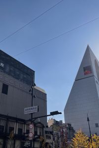 여행을하자